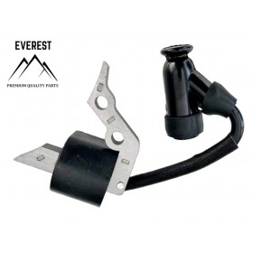 UŽDEGIMO RITĖ KINIETIŠKOS VĖJAPJOVĖS HECHT