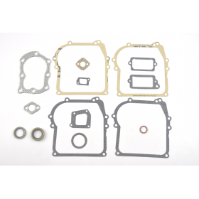 TARPINIŲ KOMPLEKTAS BRIGGS&STRATTON 450 500 CLASSIC