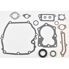 TARPINIŲ KOMPLEKTAS BRIGGS&STRATTON QUANTUM