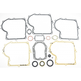 TARPINIŲ KOMPLEKTAS BRIGGS&STRATTON 10KM-13KM