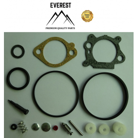 Remontinis komplektas BRIGGS&STRATTON QUANTUM 492495, 493762, 498260