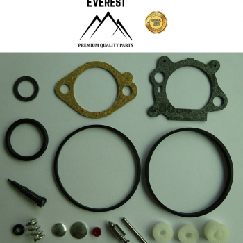 Remontinis komplektas BRIGGS&STRATTON QUANTUM 492495, 493762, 498260