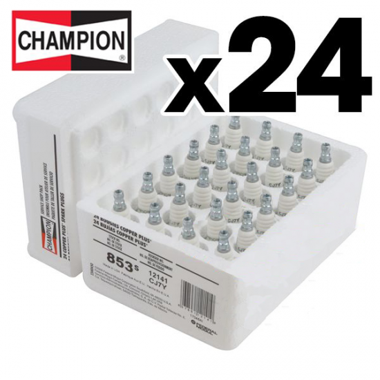 UŽDEGIMO ŽVAKĖS CHAMPION CJ7Y/W24 PJŪKLAMS IR TRIMERIAMS – 24 VNT.