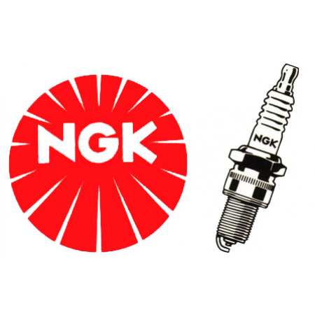 ŽVAKĖ NGK BP6ES HONDA