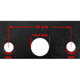 PEILIS CARMEN PJOVIMO