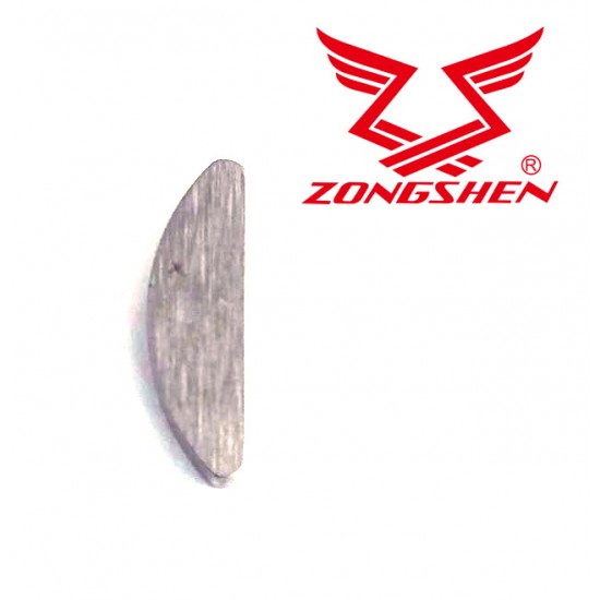 MAGNETINIO DISKO FIKSATORIUS ZONGSHEN XP140