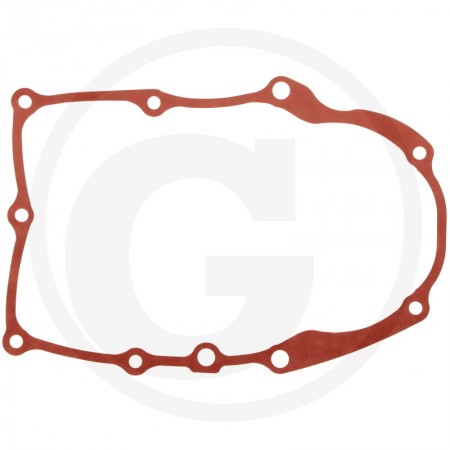 KARTERIO TARPINE BRIGGS&STRATTON Originali 846487