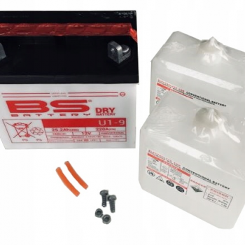 Akumuliatorius SU RŪGŠTIES ELEKTROLITU 12V 24Ah Dešinėje PLIUSAS 196 mm x 131 mm x 184 mm  sausai įkrautas