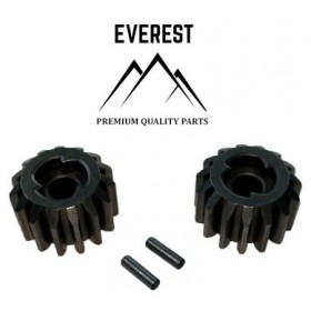 VEJAPJOVĖS EIGOS PAVAROS ŽVAIGDUČIŲ RINKINYS 15 DANTUKŲ