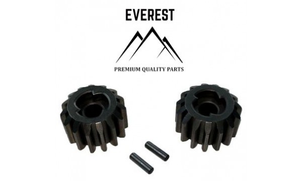 VEJAPJOVĖS EIGOS PAVAROS ŽVAIGDUČIŲ RINKINYS 15 DANTUKŲ