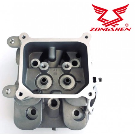 ZONGSHEN XP420 VARIKLIO GALVA