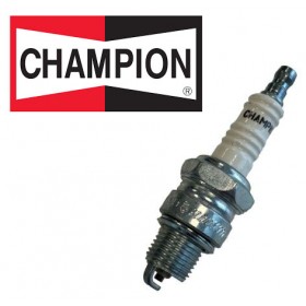ŽVAKĖ CHAMPION RL87YC VEJAPJOVEI