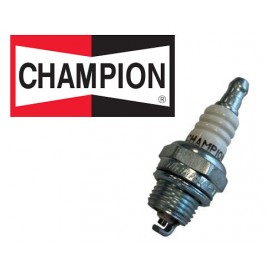 ŽVAKĖ CHAMPION RCJ6Y