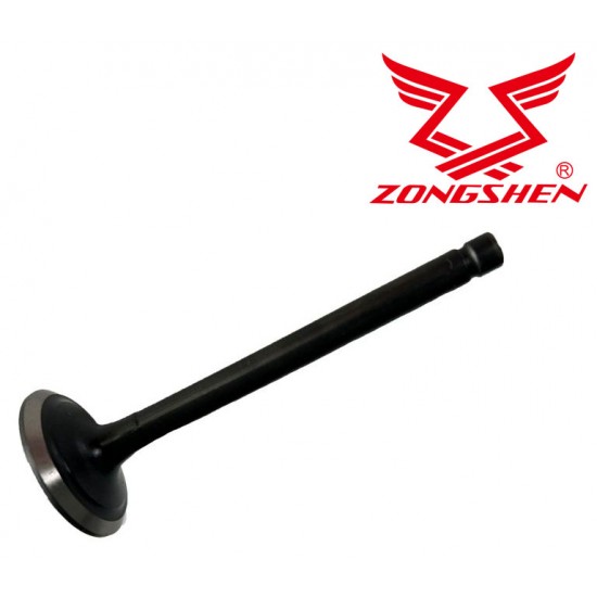 IŠMETIMO VOŽTUVAS ZONGSHEN XP380, XP440