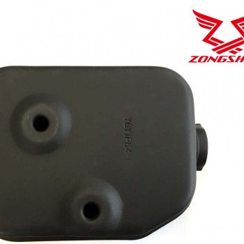 DUSLINTUVAS ZONGSHEN XP200 6,5HP
