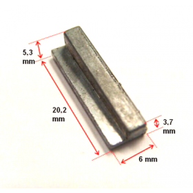 SMAGRAČIO FIKSATORIUS TECUMSEH