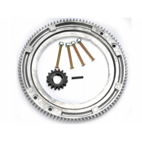 BRIGGS&STRATTON SMAGRAČIO ŽIEDAS