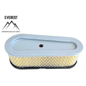 Oro filtras BRIGGS&STRATTON 10AG-15AG