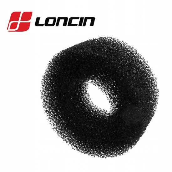 ORO FILTRAS LONCIN G160F, G200F, LC168F 180100041-0001 originalus Loncin
