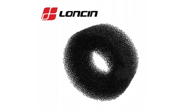 ORO FILTRAS LONCIN G160F, G200F, LC168F 180100041-0001 originalus Loncin