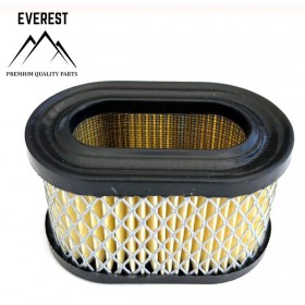 ORO FILTRAS BRIGGS&STRATTON QUANTUM MAŽAS