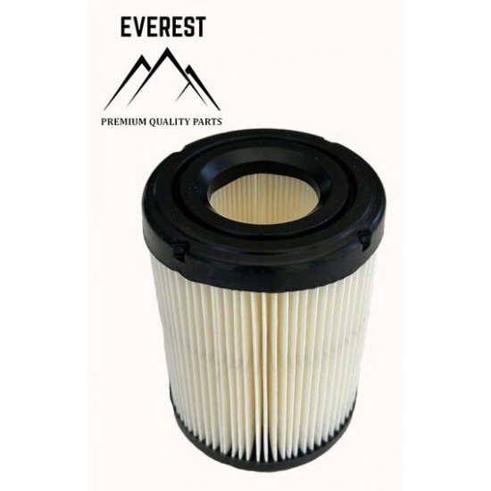ORO FILTRAS TINKANTIS BRIGGS & STRATTON INTEK OHV – 591583