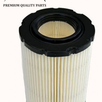 ORO FILTRAS BRIGGS & STRATTON 1 CILINDRO 15–19 AG