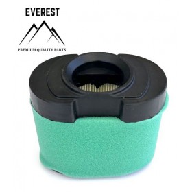 ORO FILTRAS BRIGGS&STRATTON 2 VALCE  OHV NAUJO MODELIO