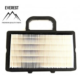 ORO FILTRAS BRIGGS&STRATTON 2 CILINDRŲ NAUJO TIPO EVEREST