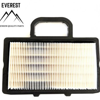 ORO FILTRAS BRIGGS&STRATTON 2 CILINDRŲ NAUJO TIPO EVEREST