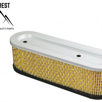 ORO FILTRAS BRIGGS&STRATTON 10AG-12AG EVEREST