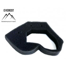 Oro filtras HONDA GX25