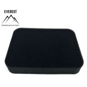 ORO FILTRAS HONDA 17211-899-000