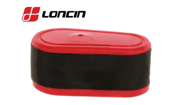 ORO FILTRAS LONCIN LC1P75F 224cc