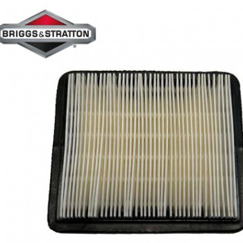 ORO FILTRAS BRIGGS&STRATTON QUANTUM Originali prekė