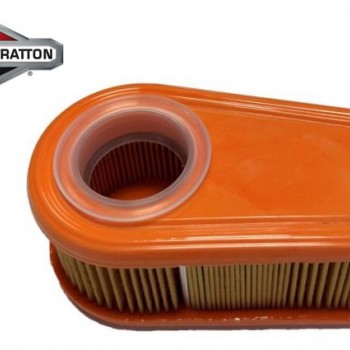 ORO FILTRAS BRIGGS&STRATTON 850 7,5-8,5HP Originali prekė