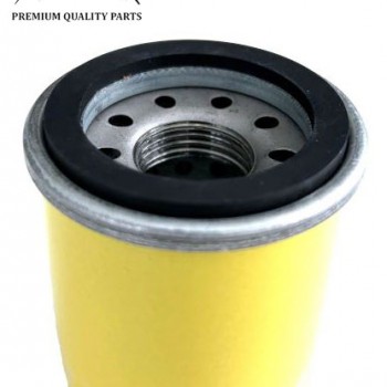 ALYVOS FILTRAS BRIGGS&STRATTON 795990