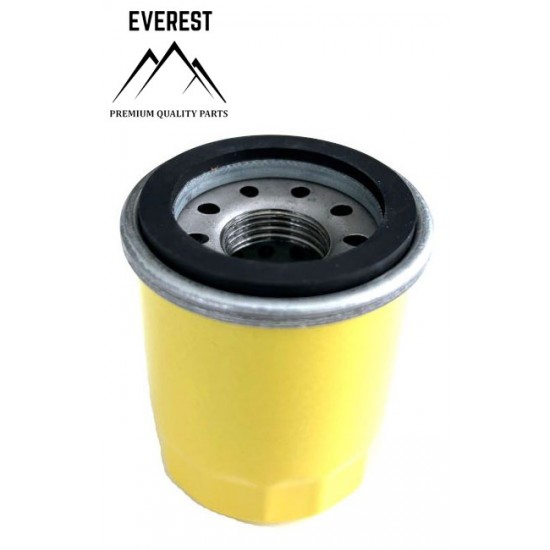 ALYVOS FILTRAS BRIGGS&STRATTON 795990