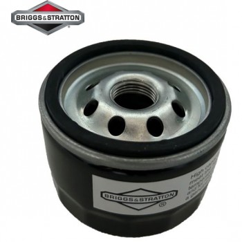 ORIGINALUS BRIGGS & STRATTON ALYVOS FILTRAS 492932S