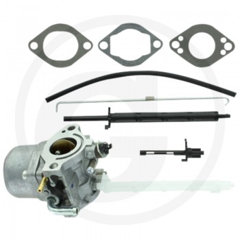 KARBIURATORIUS BRIGGS&STRATTON 696737