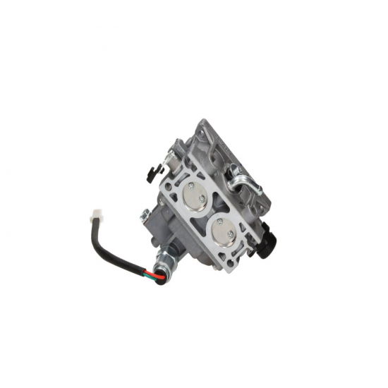 ORIGINALUS KARBURATORIUS LONCIN LC2P77F