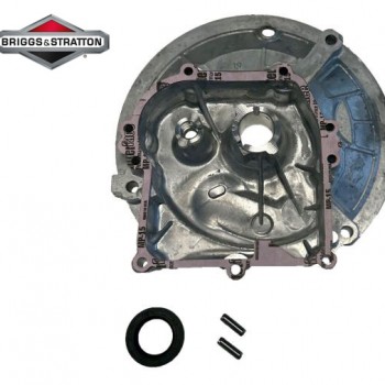 KARTERIS BRIGGS&STRATTON OHV Originali dalis