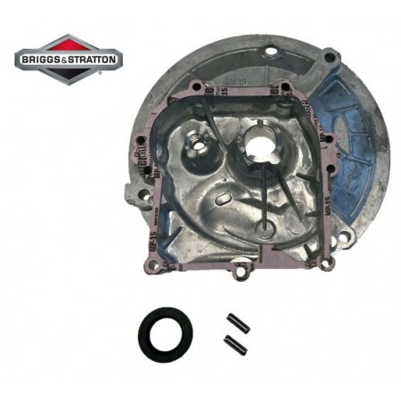 KARTERIS BRIGGS&STRATTON OHV Originali dalis