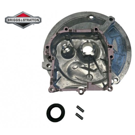 KARTERIS BRIGGS&STRATTON OHV Originali dalis