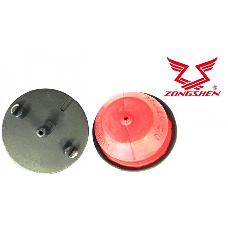 PASIURBIMO POMPA  ZONGSHEN NP100