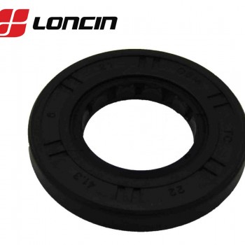 RIEBOKŠLIS VIRŠUTINIS VELENO LONCIN LC1P65FE originalus Loncin  22x41,3x6