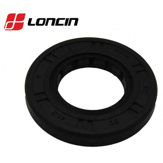 RIEBOKŠLIS VIRŠUTINIS VELENO LONCIN LC1P65FE originalus Loncin  22x41,3x6