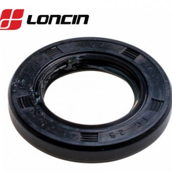RIEBOKŠLIS APATINIO VELENO LONCIN G160F, G200F, LC1P61FA, LC1P65FA, LC1P70FA originalus Loncin  25x41,25x6