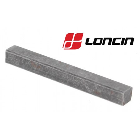 FIKSATORIUS MAGNETINIO DISKO LONCIN G200F, LC1P65FE, LC1P70FA