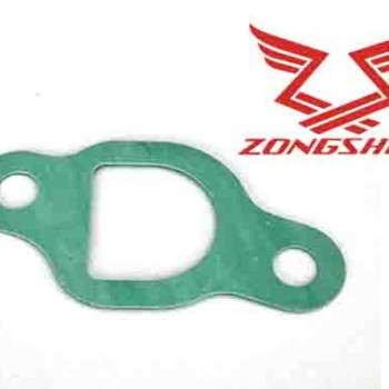 TARPINE ZONGSHEN XP140 4,5HP